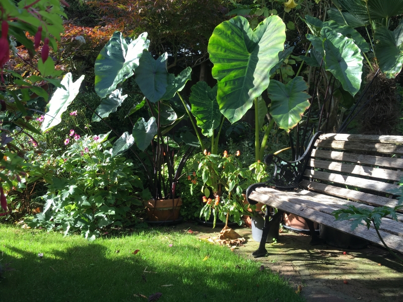 The Secret Garden of Louth